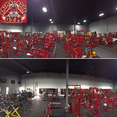 Animal house fitness - Apex Animal House is a veteran owned and operated functional fitness facility dedicated to everyday athletes and enthusiasts alike. We offer personal training, weight lifting, cardo and functional equipment with 24-hour access. Train the way you want, when you want!